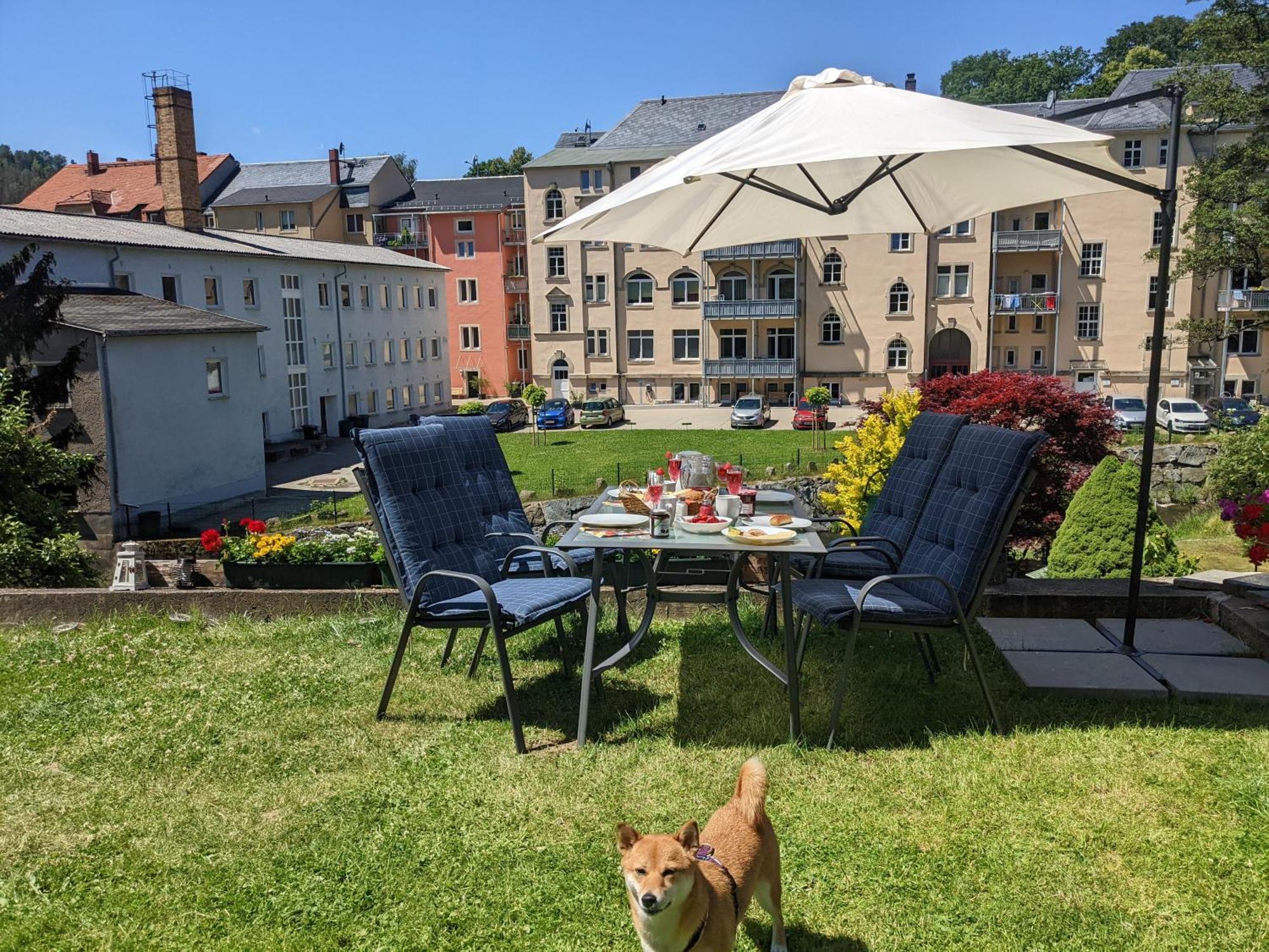 Uo2 - Urlaubsmagie - Garten, Whirlpool, Sauna Apartment Sebnitz Bagian luar foto